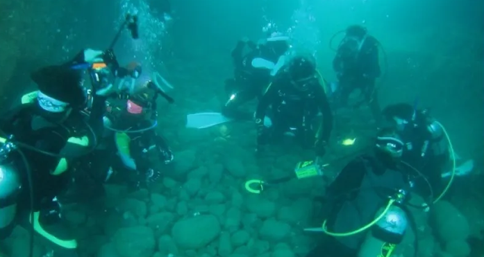 【島根・出雲】魚の多い海を手軽に楽しめるファンダイビング【ボートダイビング】