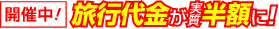 旅行代金が実質半額に!