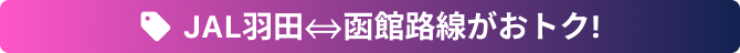 スカイマークタイムセール実施中！