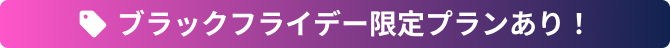 ブラックフライデー限定プランあり!
