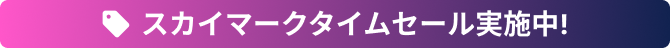 スカイマークタイムセール実施中！