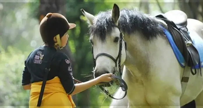 【茨城・水戸】馬にまたがってみよう！体験乗馬(1回コース)【乗馬】