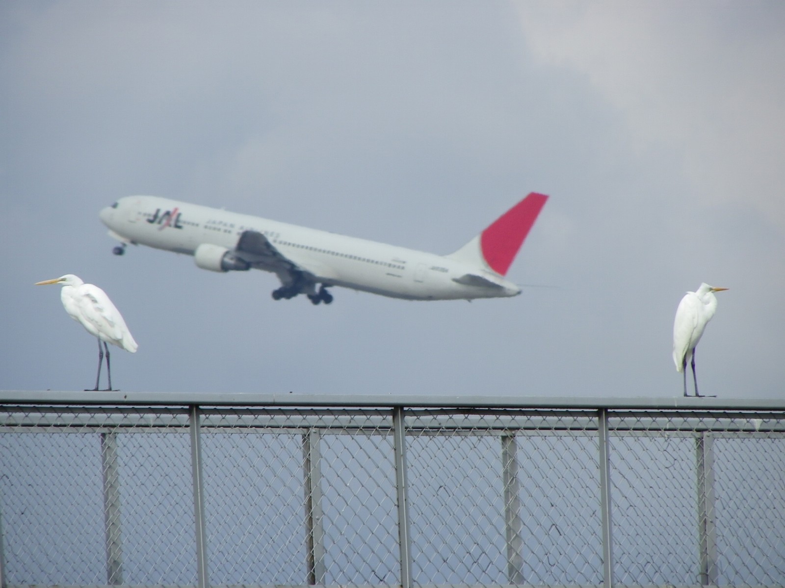 旅行に行く前に確認 飛行機を予約する前に知っておきたい4つのこと エアトリ トラベルコラム
