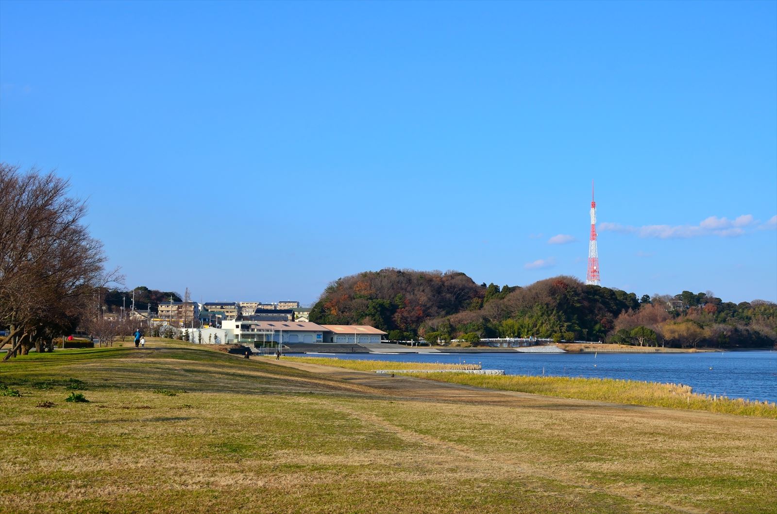 佐鳴湖公園