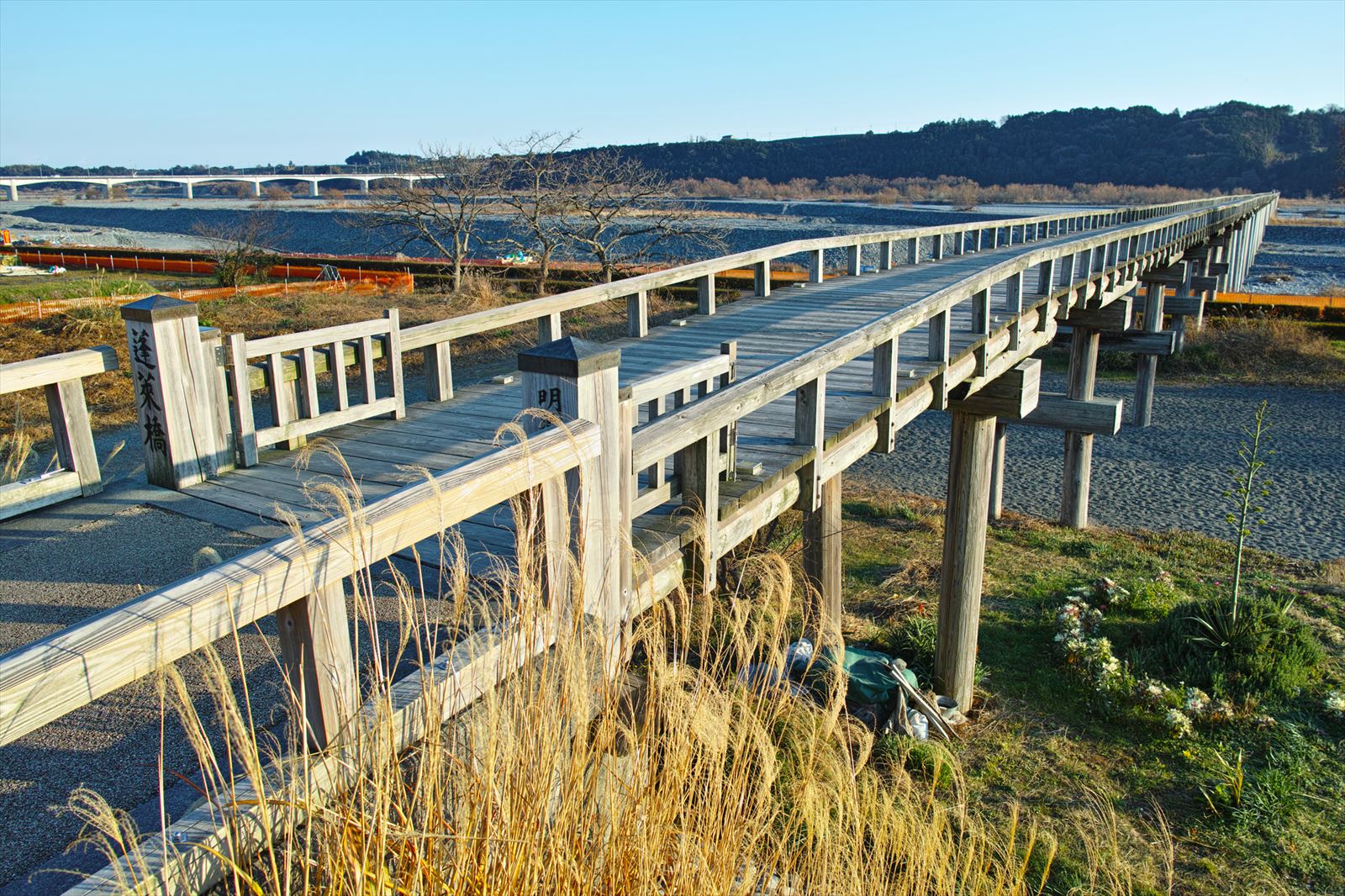 静岡県の蓬莱橋