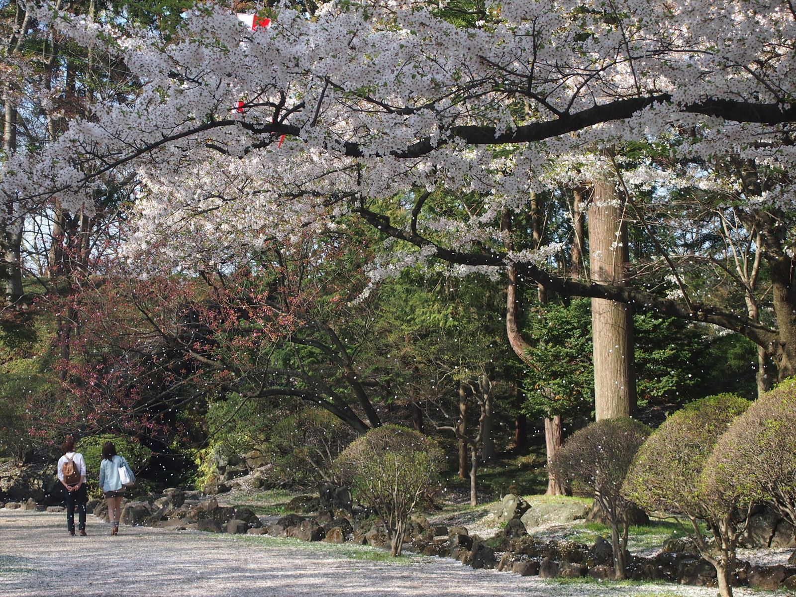 能代市の千秋公園