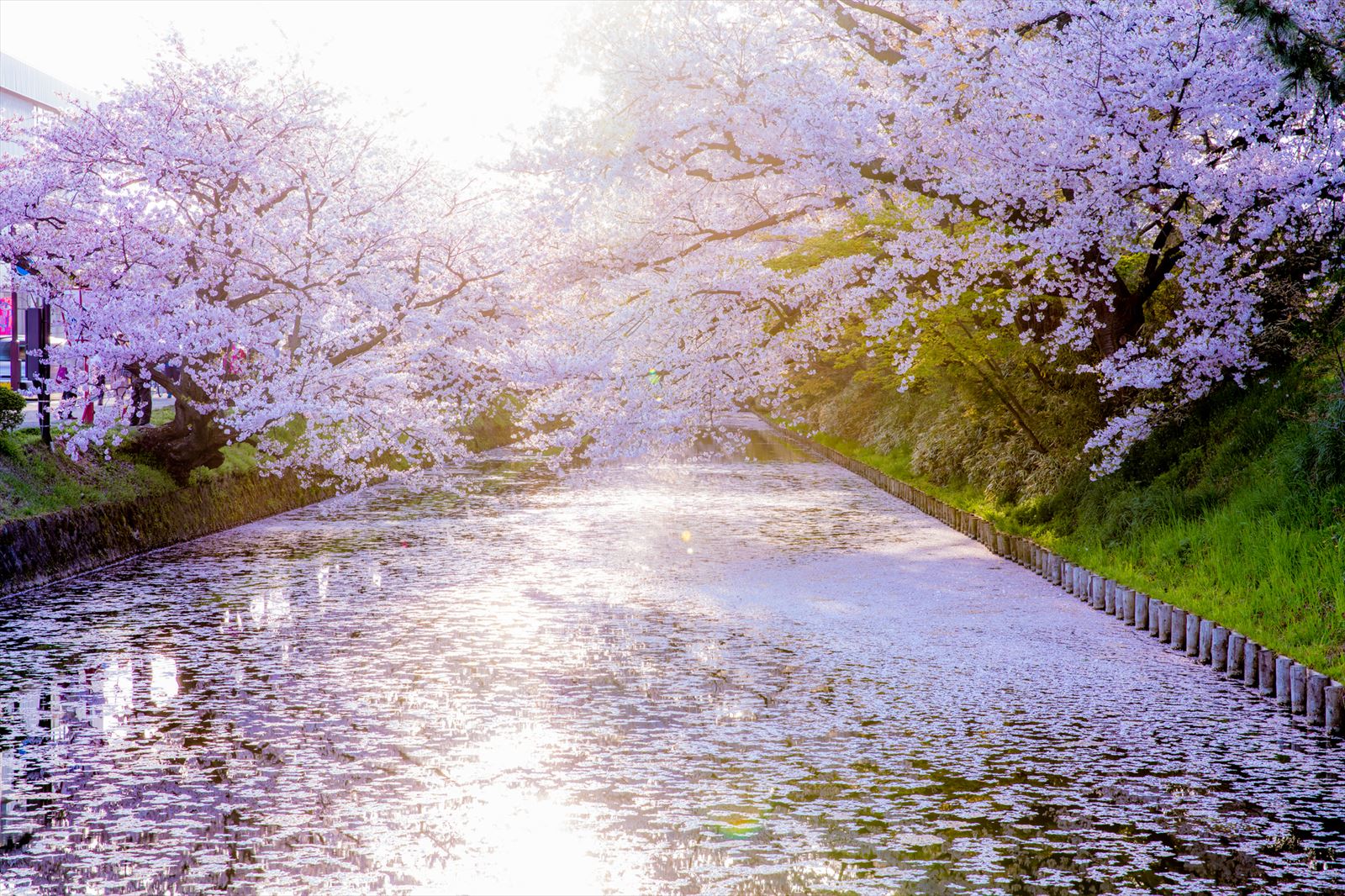 弘前公園