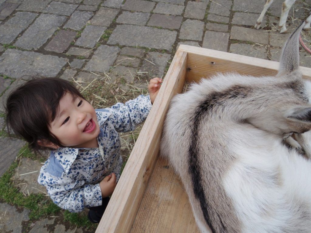 しろとり動物園