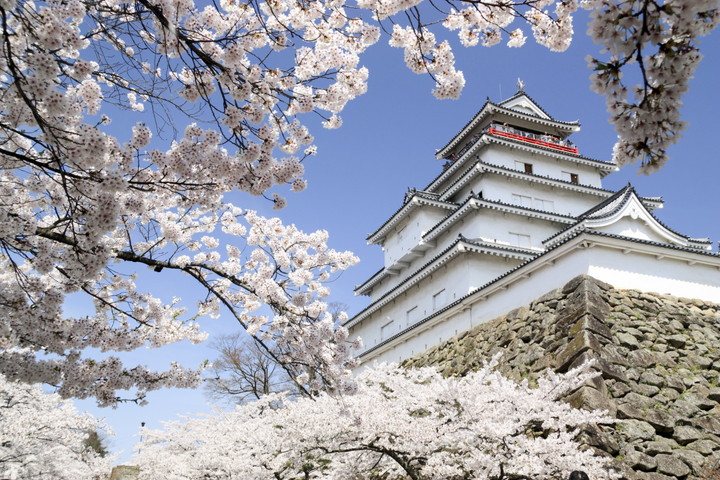 鶴ヶ城（若松城）