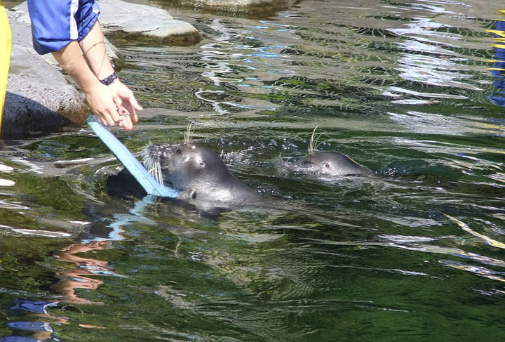 箱根園水族館