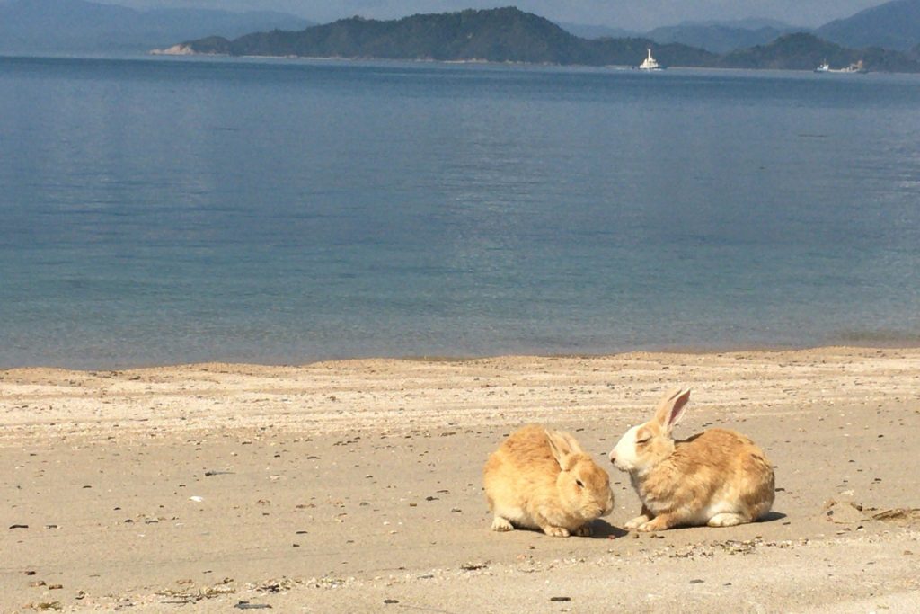 大久野島