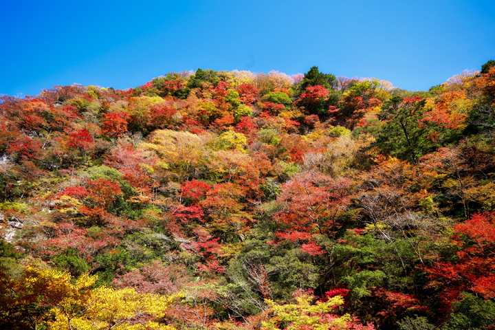 べふ峡