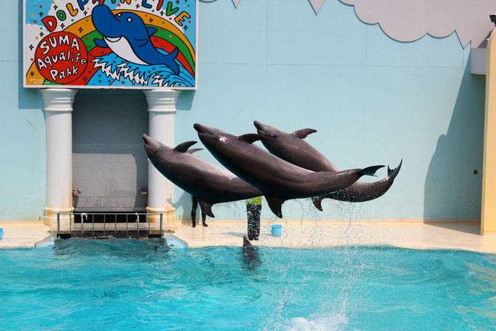 神戸市立須磨海浜水族園