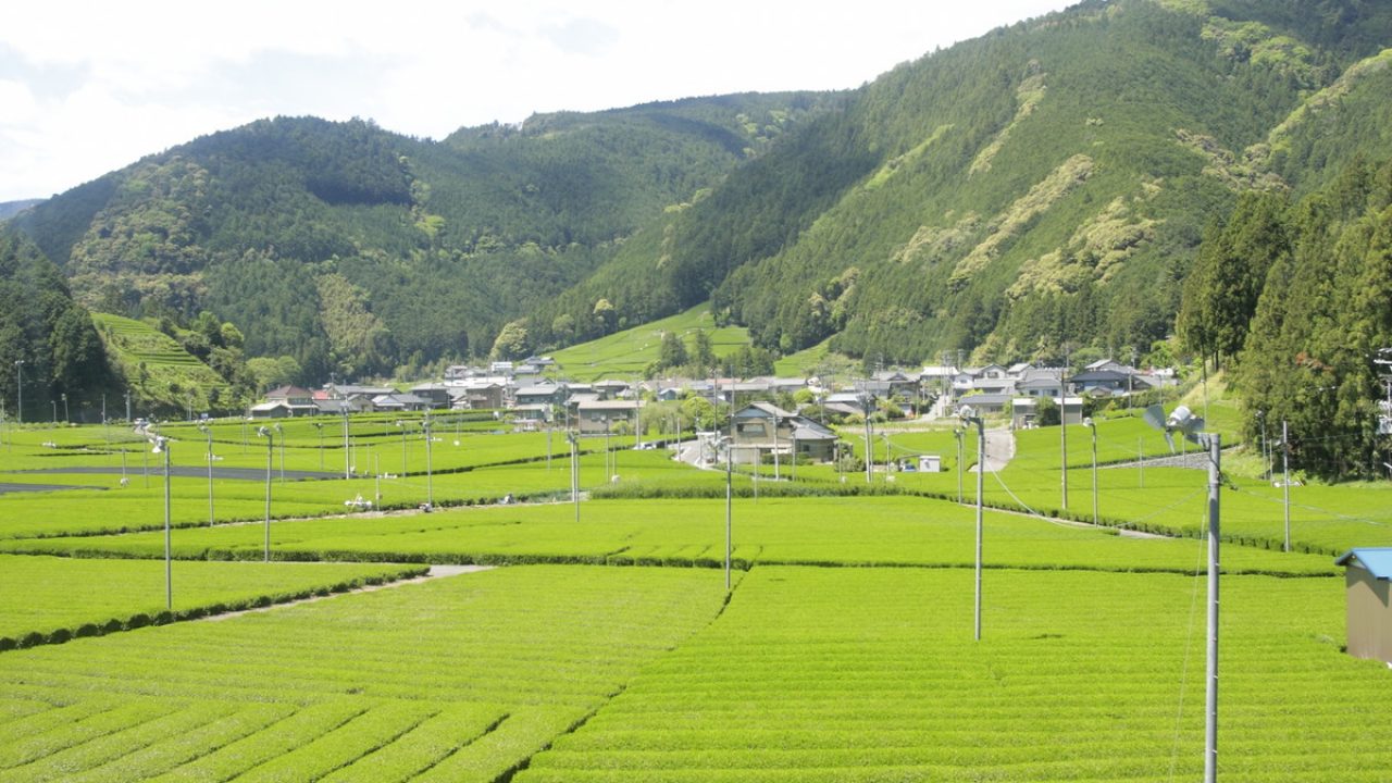 北海道 静岡間を飛行機で 料金と時間はどれくらい エアトリ トラベルコラム