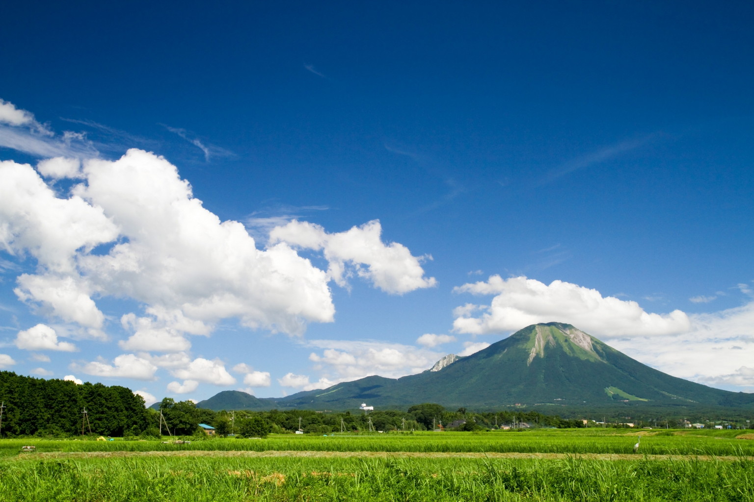 大山