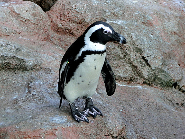 京都水族館