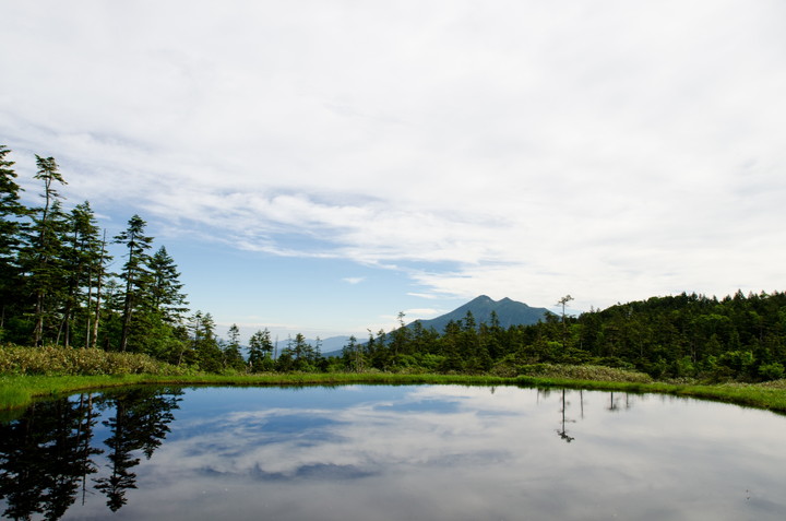 尾瀬国立公園