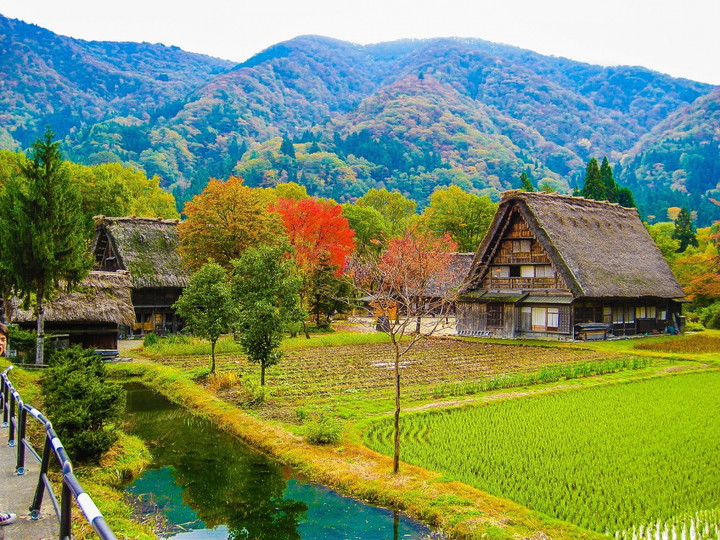 白川卿合掌造り集落