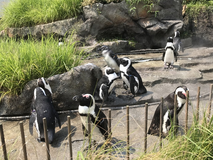 サンシャイン水族館