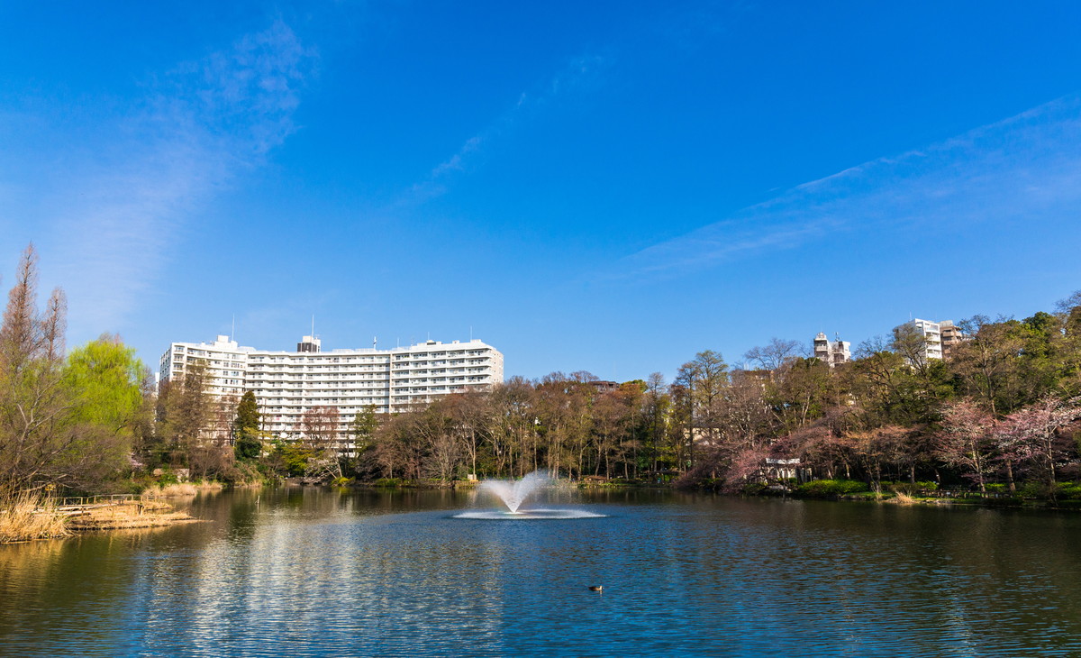 井の頭恩賜公園