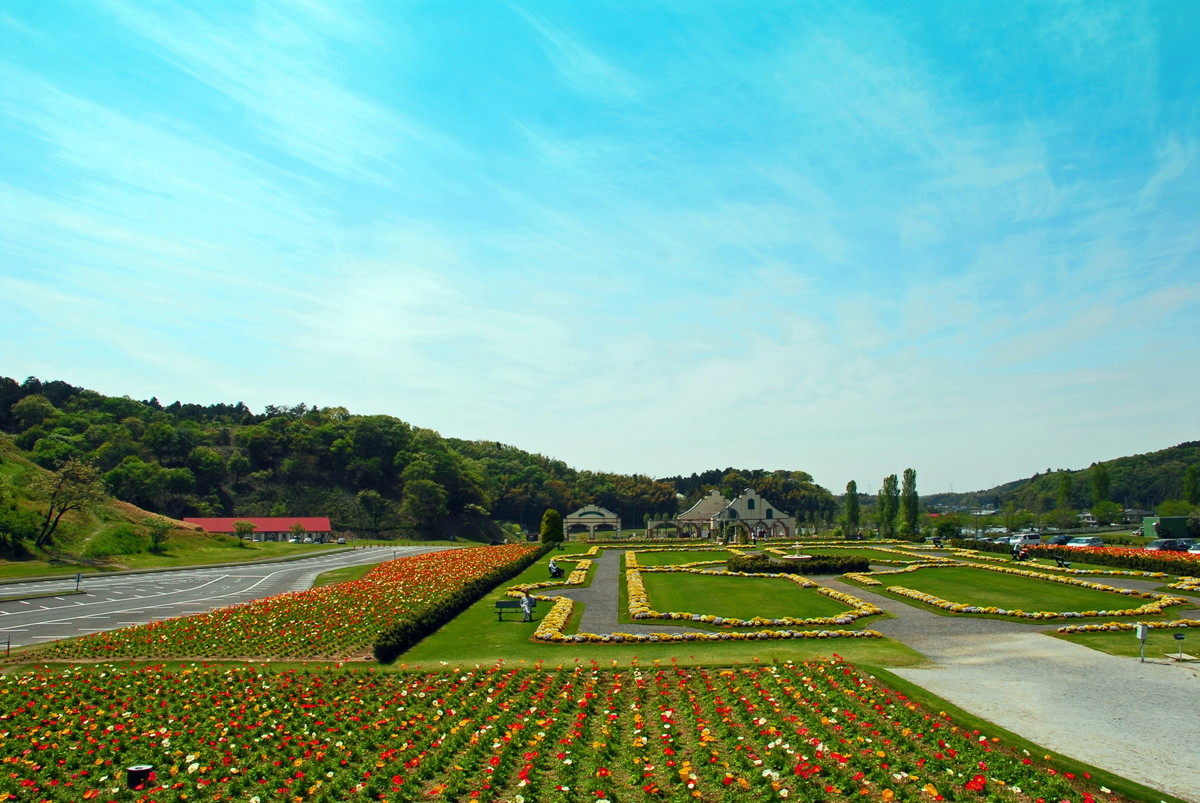 東京ドイツ村