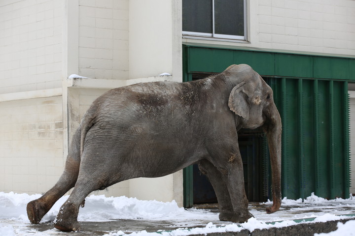 おびひろ動物園