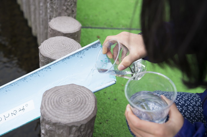 サケのふるさと千歳水族館