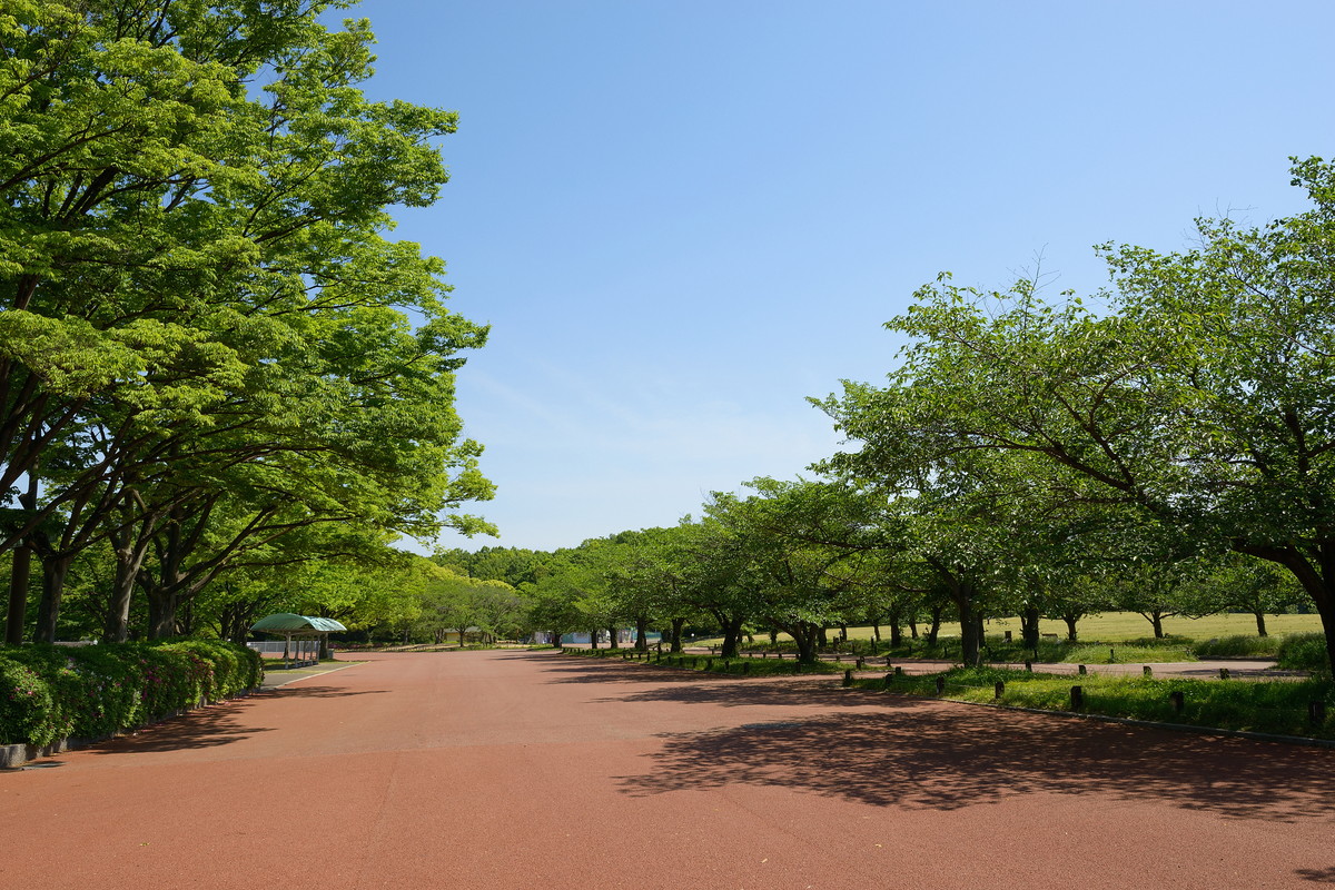 万博記念公園