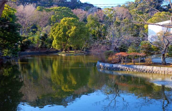 鶴岡八幡宮