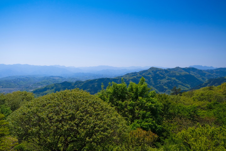 宝登山