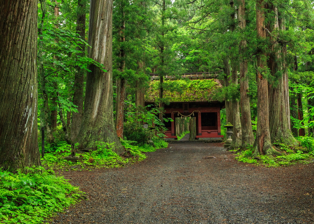 戸隠 神社 不思議 な 写真