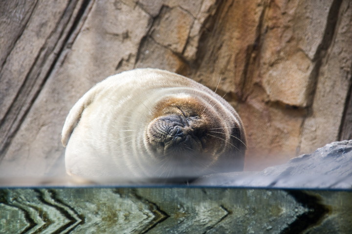 仙台うみの杜水族館