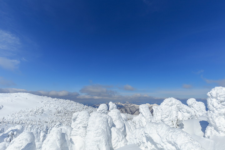 蔵王の樹氷