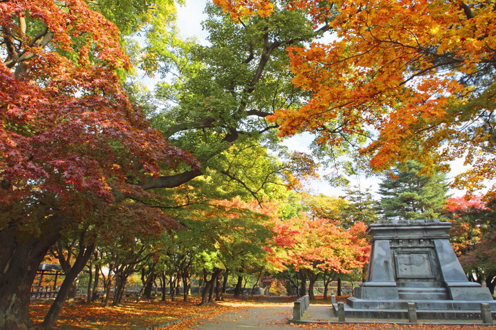 盛岡城跡公園