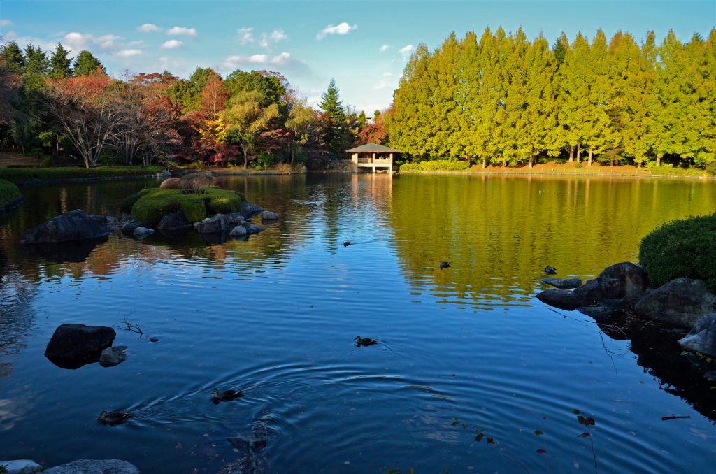 栃木県中央公園