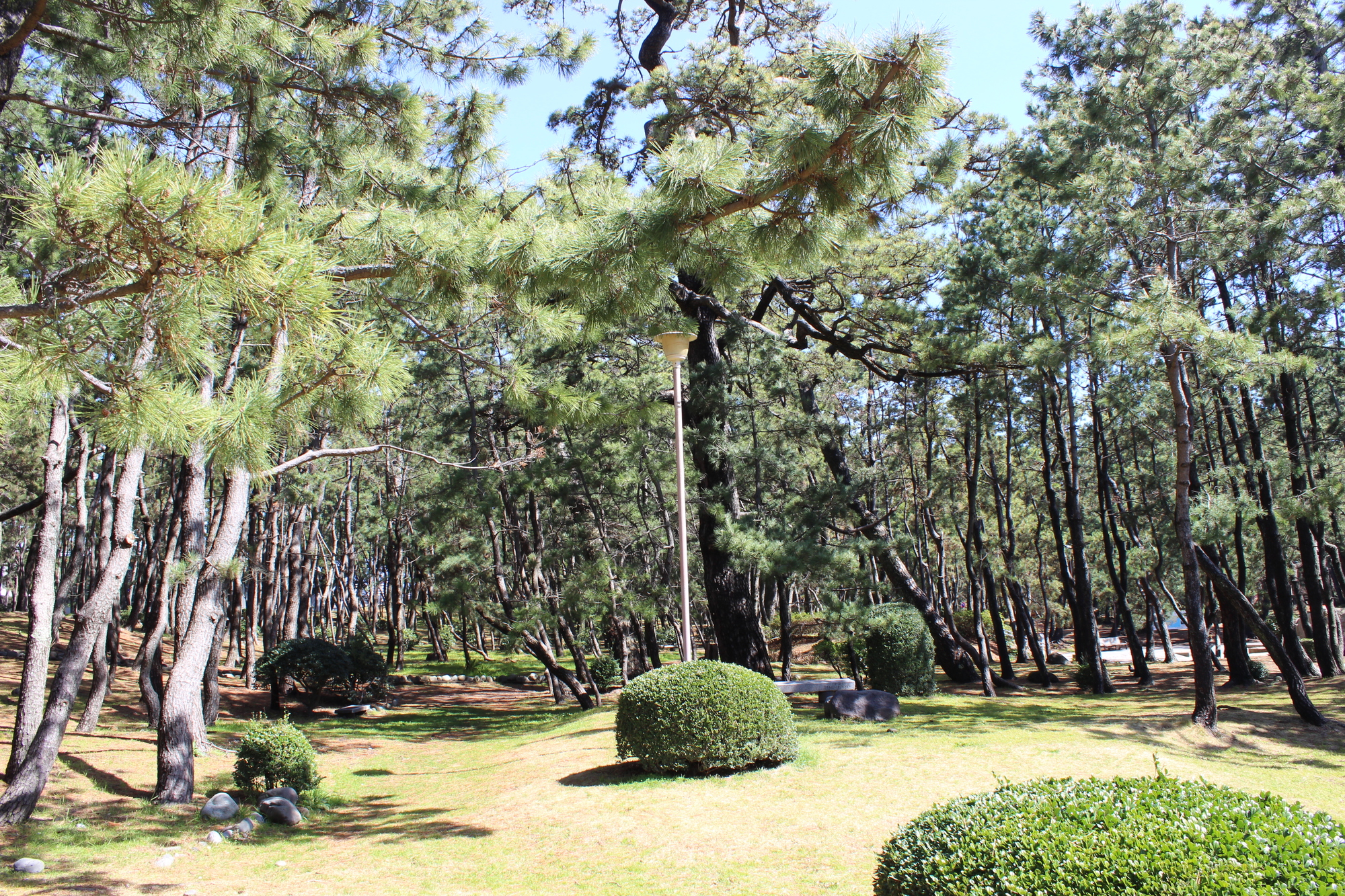 千本浜公園