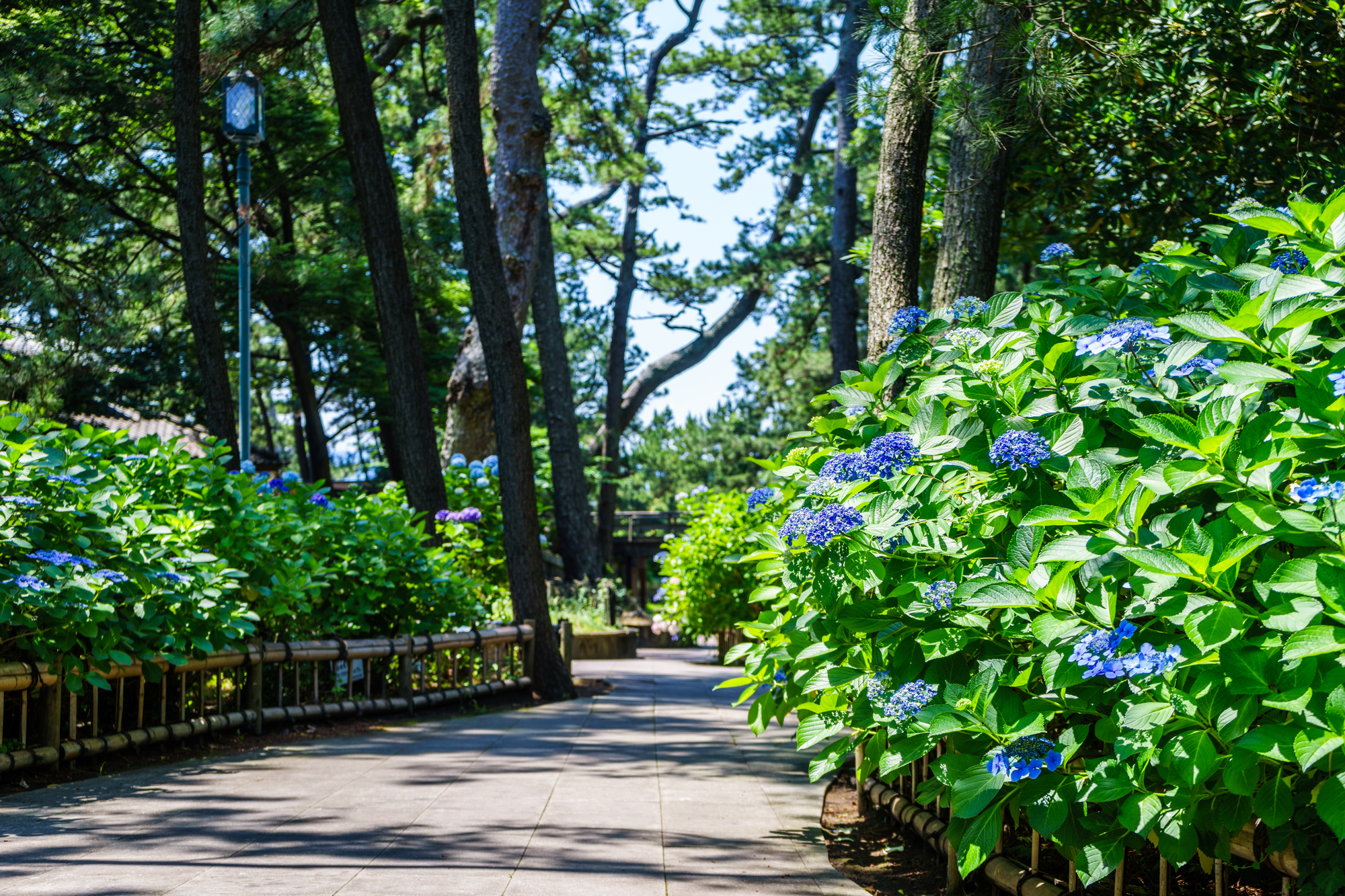 沼津御用邸記念公園