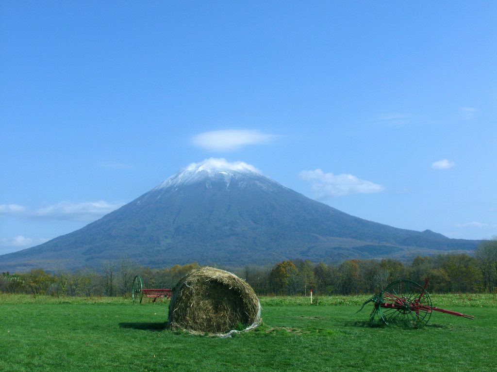 ニセコ高橋牧場