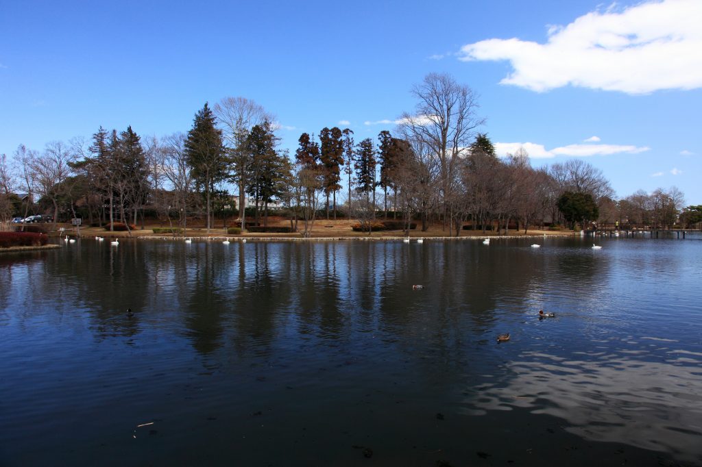 大塚池公園