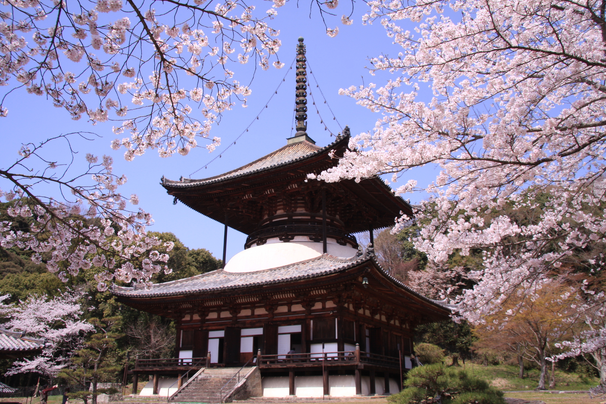 国宝の大塔は必見 根来寺の見どころをご紹介 エアトリ トラベルコラム 国宝の大塔は必見 根来寺の見どころをご紹介 エアトリ トラベルコラム