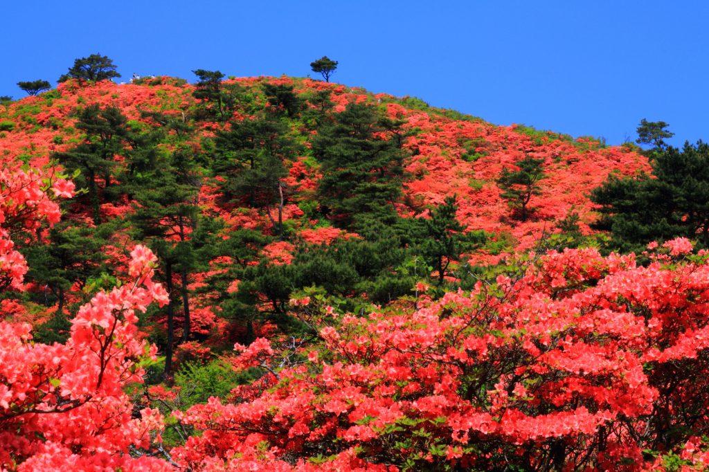 徳仙丈山