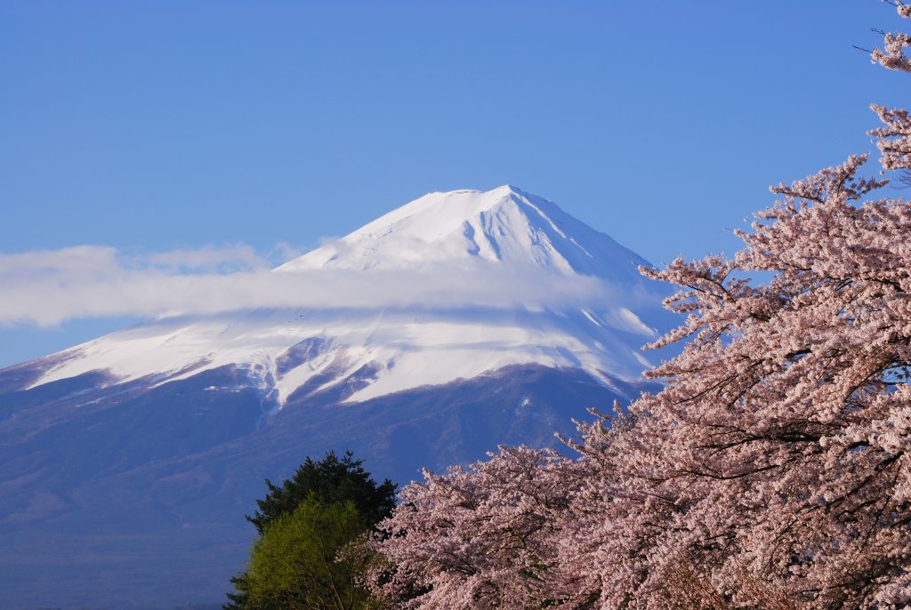 富士山