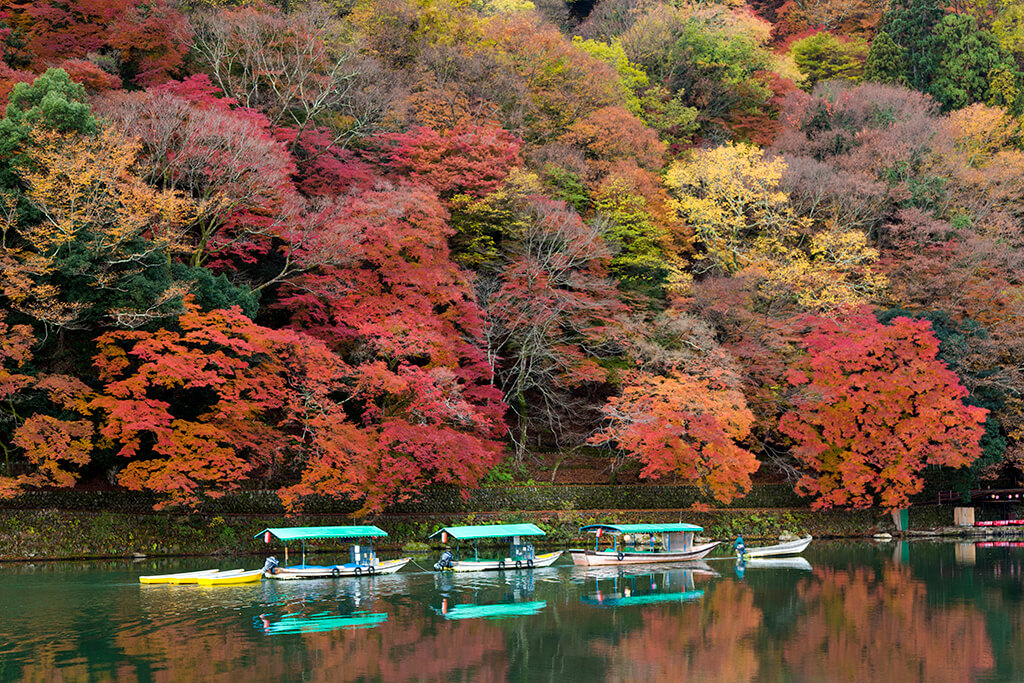 写真②嵐山