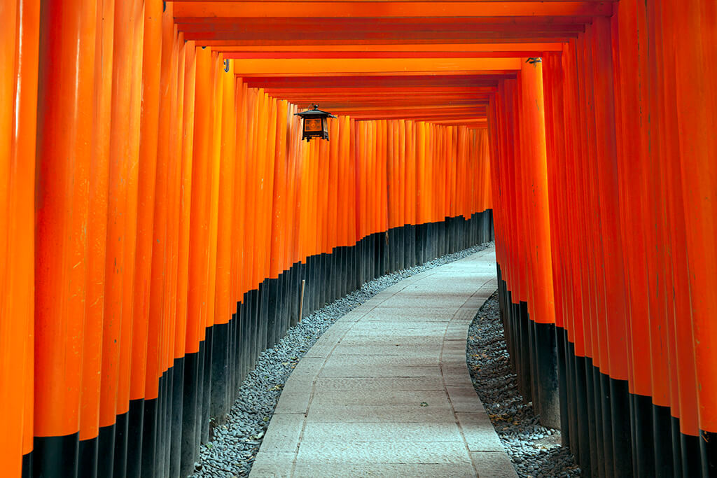 写真③千本鳥居