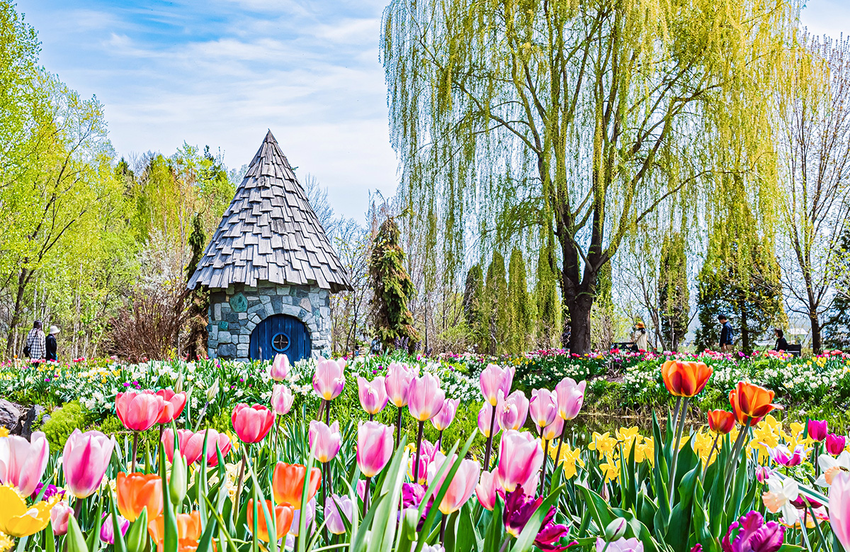 旭山動物園のアザラシ