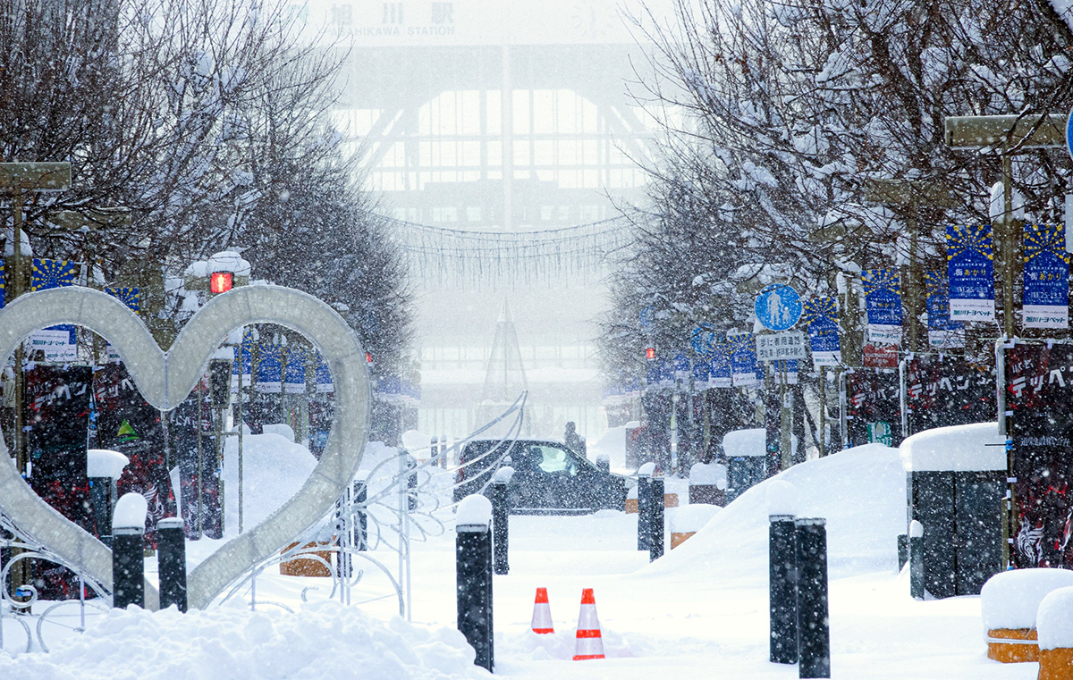 自然あふれる旭川の風景