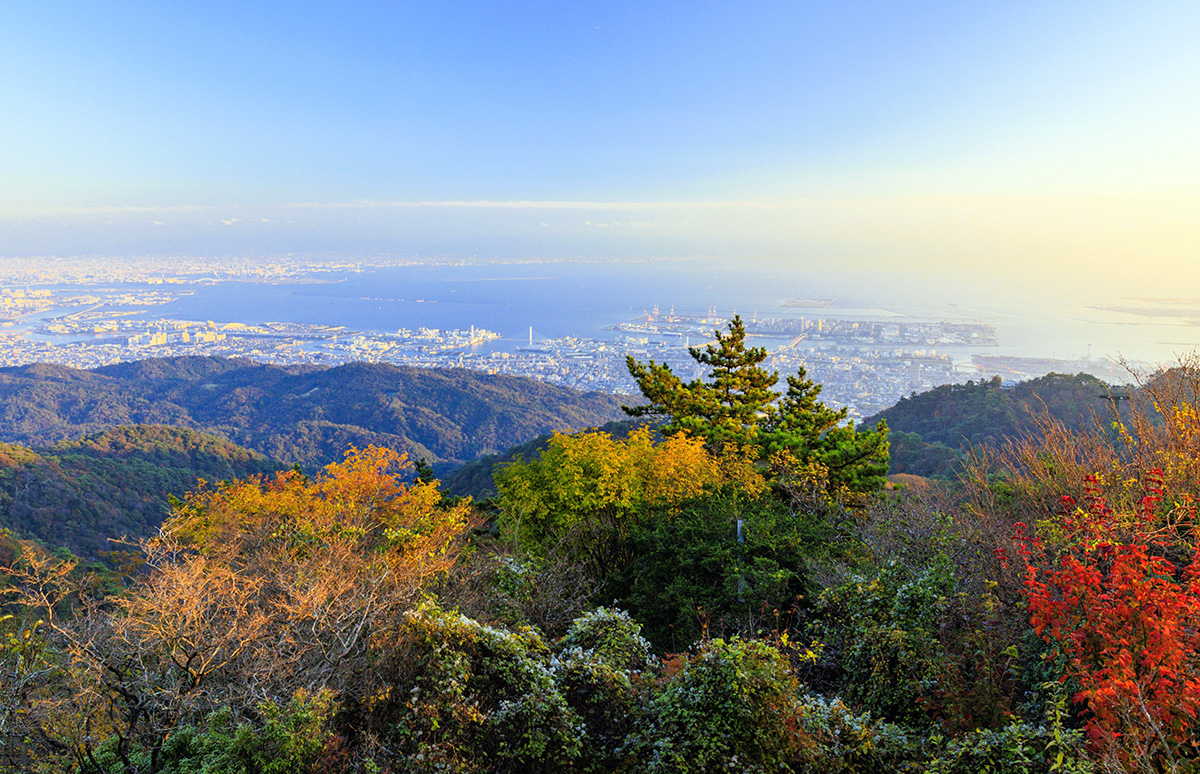六甲ガーデンテラスから眺める、紅葉と阪神間の眺め