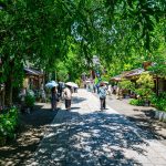 新緑に囲まれた深大寺の参道