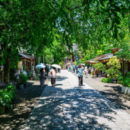 新緑に囲まれた深大寺の参道