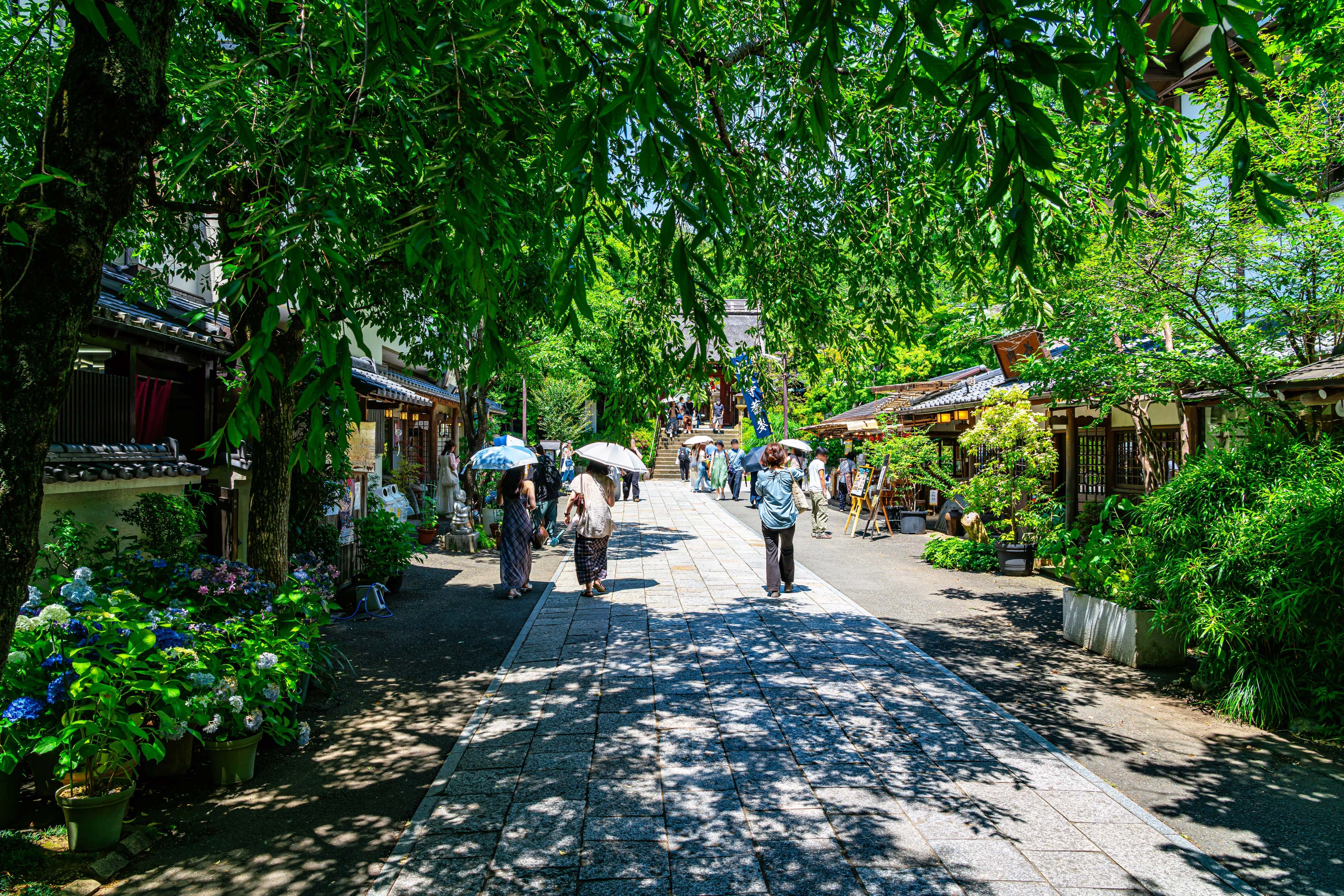 新緑に囲まれた深大寺の参道